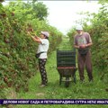 Počinje trka za sezonskim radnicima