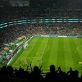 Komadić istorije ili preskupa uspomena: FIFA prodaje travu sa terena finala Svetskog prvenstva