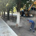 U Sajanu kod Kikinde saniraju se pešačke staze