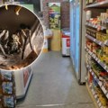 Karambol u supermarketu! Evakuisali ga i zatvorili zbog opakog pauka: Ugriz je koban, a može uzrokovati i trajnu erekciju