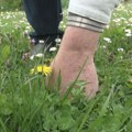 Najmlađi travar u Srbiji, otkriva zašto su sremuš, kopriva i šipurak biljke efikasnije od bilo koje tablete