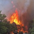 (Foto) Pripadnici MUP-a Srbije zajedno s grčkim kolegama danas gasili požare u oblasti Provatonas
