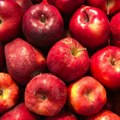 Moderna skladišta i udruživanje jedini način za opstanak proizvodnje jabuka