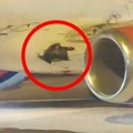 Tužilaštvo ispituje prinudno sletanje aviona za Diseldorf: Formiran predmet, utvrđuje se da li je bilo propusta i ko je…