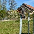 Plašimo se da će gladni i besni psi napasti decu Do sada odneli na desetine pari obuće koju su uništili (foto)