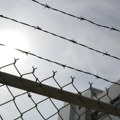Zmija ujela čoveka u zatvoru „Idrizovo“
