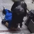 Srela tetku na ulici, pa je brutalno pretukla! Žena (51) završila u bolnici sa teškim povredama, a iza svega stoji nešto…