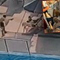 "Cela budva blokirana, policija na svakom koraku" Izvor blizak istrazi šokirao detaljima pucnjave: Kan je kao mačka, uvek se…
