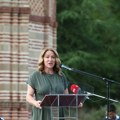 Paunović: Nema zakonskog osnova da se ponove izbori u Zaječaru, skupština de fakto formirana