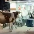 Bik težak 1,5 tonu uleteo u berbernicu: Nastala panika među mušterijama i osobljem (video)