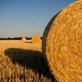 Za poljoprivrednike u Srbiji iz IPARD III programa 288 miliona evra pomoći