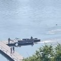 (Video): Počelo postavljanje pontonskog mosta do plaže Lido u Zemunu