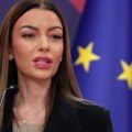 Narod neće ekonomskog egzekutora Srbije Mesarović: Đilas finansira prolivanje krvi na ulicama nećemo dozvoliti da uništi…
