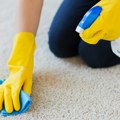 Poprskajte prljav tepih ovim i zasjaće kao nov: Potrebna su vam samo 3 sastojka koja već imate u kući