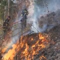 Lokalizovan požar na Staroj planini, izgorelo 100 hektara niskog rastinja i borova