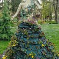 Pošumljavanje u Kragujevcu: Međunarodni sertifikat za program "Staze prirode"