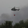 Gori Srbija! Požari bukte na više lokacija: Gore šume, objekti kod Beške, kod Bora gori vikend naselje (foto, video)
