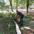 Kragujevac: Radnici JKP Šumadije čiste grad nakon nevremena