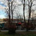 Директор Шумског газдинства у Лесковцу: Нико не пљачка Кукавицу, камиони су одвезли регуларно огревно дрво