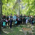 Srbijašume u akciji za primer: Zajedno za čistiju Košutnjačku šumu