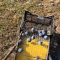 "Ko se ovog setio, ruke mu se pozlatile": Napravio spravu koja skuplja šljive bez saginjanja pa zaludeo čitav region…