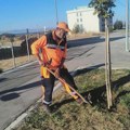 Održavanju javne higijene, zelenih površina i drvoreda na više lokacija u gradu