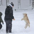 FOTO: Zlatibor zavejan – deca, odrasli i psi uživaju u beloj čaroliji
