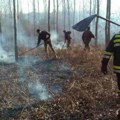 LSV: Nadležni da kažu šta je uzrok požara na Fruškoj gori
