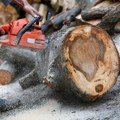 Muškarac poginuo pri seči šume: Tragedija na Vlasini