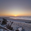 Na poznatoj plaži pronađena najređa vrsta na svetu FOTO