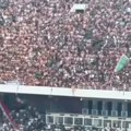 Užas u Alžiru: Navijači pali sa tribine stadiona: Troje ljudi poginulo, najmanje 70 povređenih