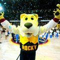 Skandal u koloradu - Maskota tužila Jokićev Denver: Slomili su mi srce!