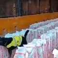 Kolumbija zaplenila 14 tona kokaina: "Istorijski udarac" narko kartelima: Psi tragači srušili rekord (video)
