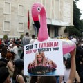 „Situacija podseća na Divlji zapad“: Hoće li albanski flamingosi preživeti planove Trampovih?