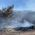 Požar na grčkom ostrvu Područje u velikom riziku: U gašenju vatre učestvuje osam aviona i tri helikoptera