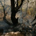 Španija: Zbog požara evakuisano 90.000 ljudi, uprkos poboljšanju situacija ozbiljna