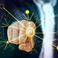 Građanima na portalu eUprava dostupan digitalni asistent zasnovan na veštačkoj inteligenciji