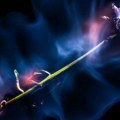 Cveće kao inspiracija: Izložba fotografija Nemanje Živkovića u KC Ribnica