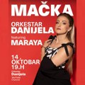 „Mačka“ je stigla — Orkestar Danijela menja pravila igre