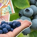 Srbi pobesneli zbog cene ovog voća! Kao da su od zlata, više od 2.000 dinara za kilogram evo šta utiče na cenu