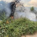 Požar na periferiji Niša, iz policije apeluju da građani ne pale vatru na otvorenom