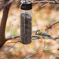 Nova zimska akcija: Zabeležite ptice na hranilicama oko vas i osvojite vredne nagrade