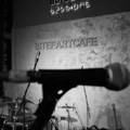Prolećni koncerti u klubu BitefArtCafe