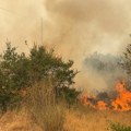 Nema mira u Crnoj Gori: Dolijao piroman, priznao podmetanje požara
