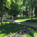 Prvi sajam kolekcionarstva, antikviteta i numizmatike u Sremskoj Mitrovici