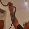 Smuk se zavukao u ormar u porodičnoj kući (video)
