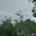 Grom udario u banderu i izazvao požar, vetar čupao drveće iz korena: Nezapamćeno nevreme pogodilo Kragujevac