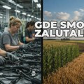 EKONOMSKI TIGAR NA KABLOVIMA: Od njiva do motanja žica, pa pravo na biro? Srpski ekonomski tigar