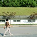 Krovovi koji dišu: Kako do što više "zelenih krovova" u Srbiji koji mogu pomoći u borbi protiv klimatskih promena