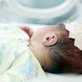 Hrvatska na nogama zbog bebe pronađene u kanti za smeće: Javili se ljudi koji žele da usvoje malog heroja: "u bolnici ga…